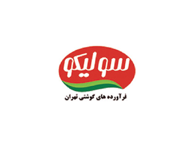 c010 سولیکو